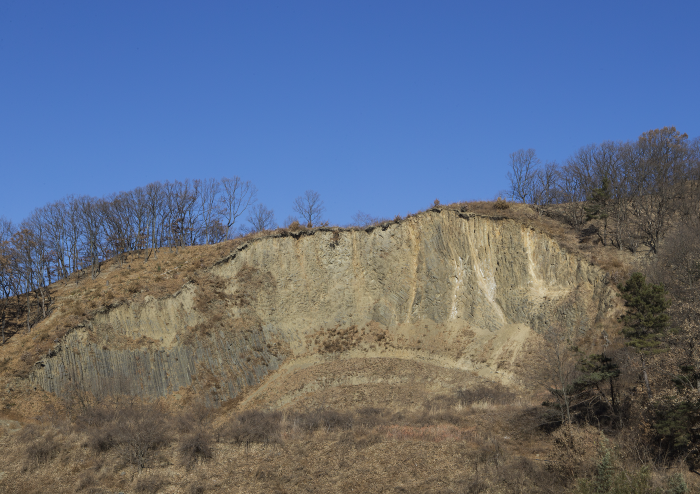 달전리 주상절리 (경북 동해안 국가지질공원) 이미지 3
