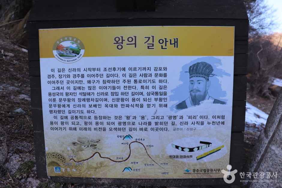 경주 왕의 길 이미지 6