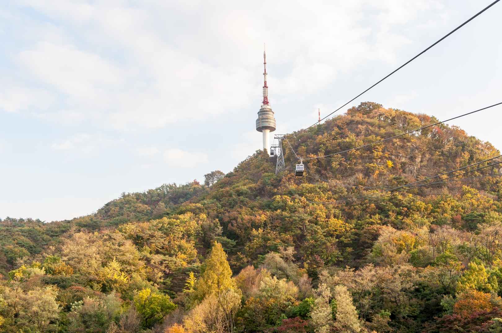 남산 케이블카 이미지 3