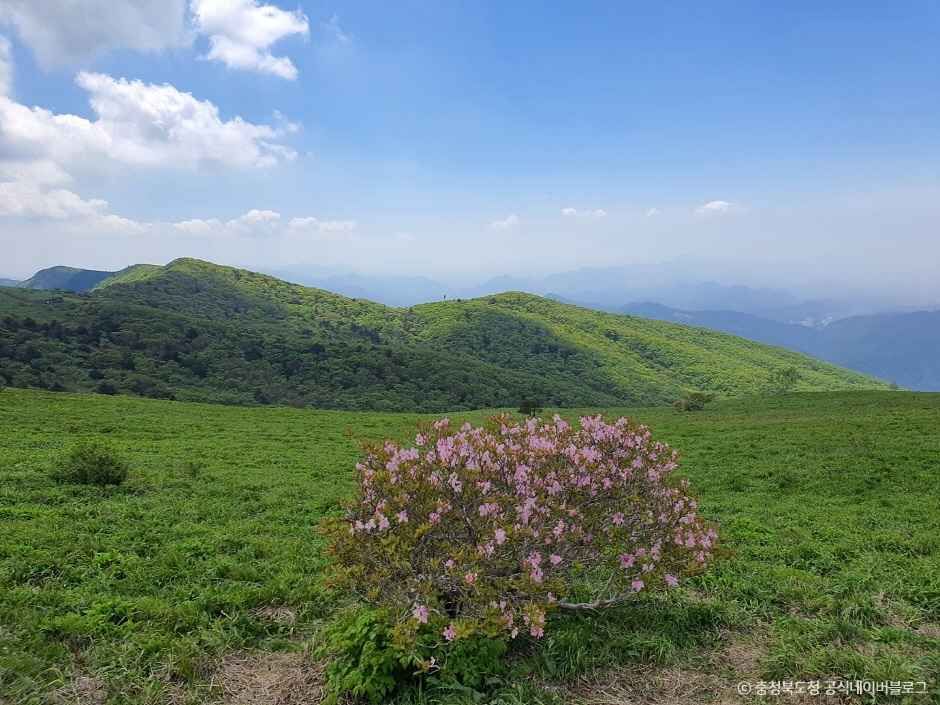 소백산국립공원(북부) 이미지 2