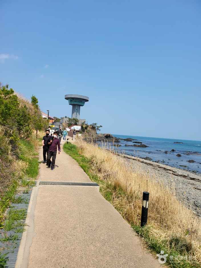 경주 양남 주상절리 전망대 이미지 5
