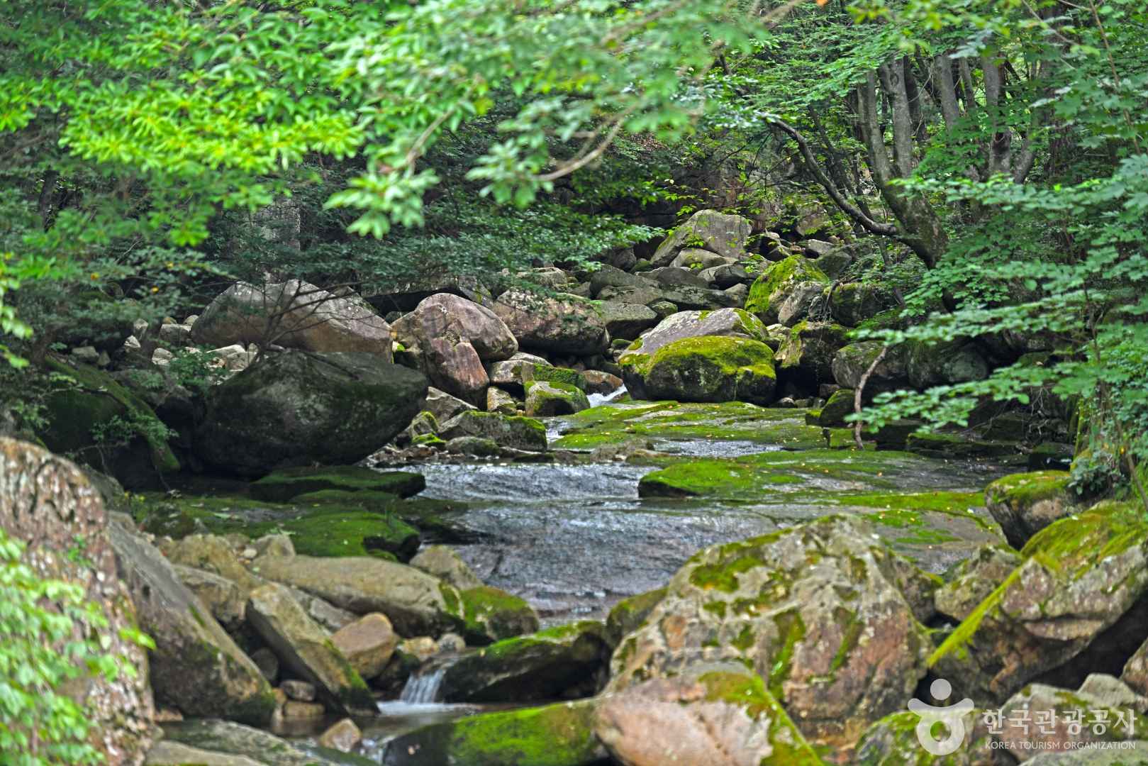 송계계곡 이미지 7