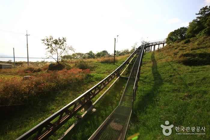 철원 평화전망대 (한탄강 유네스코 세계지질공원) 이미지 4