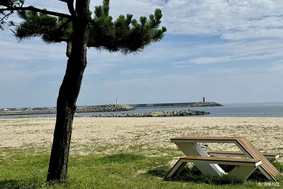 남항진해변(남항진해수욕장) 이미지 4