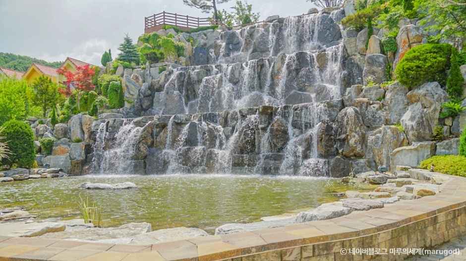 용인자작나무숲 이미지 3