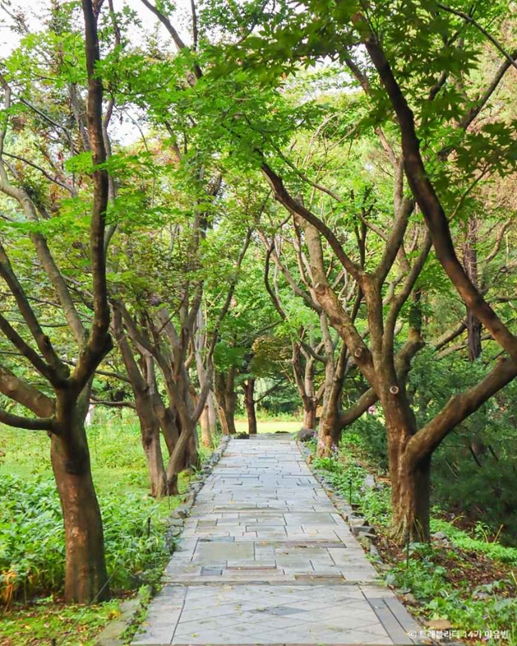 파주 벽초지수목원 이미지 4