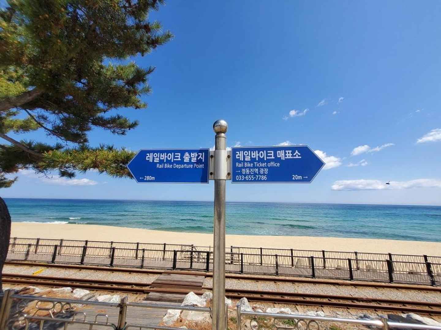 정동진 레일바이크 이미지 5