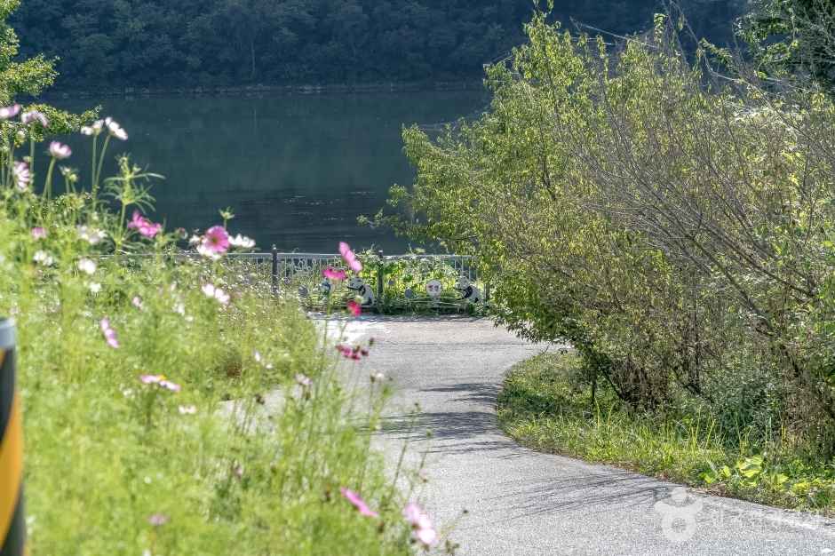 화천 파로호 자전거 100리길 이미지 7
