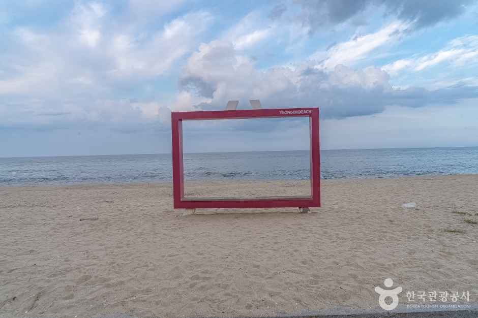 연곡해변(연곡해수욕장) 이미지 2