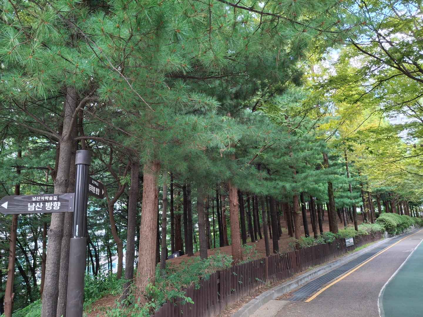 대현산배수지공원·대현산배수지공원 모노레일 이미지 6