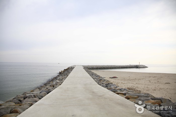 봉평해수욕장 이미지 2