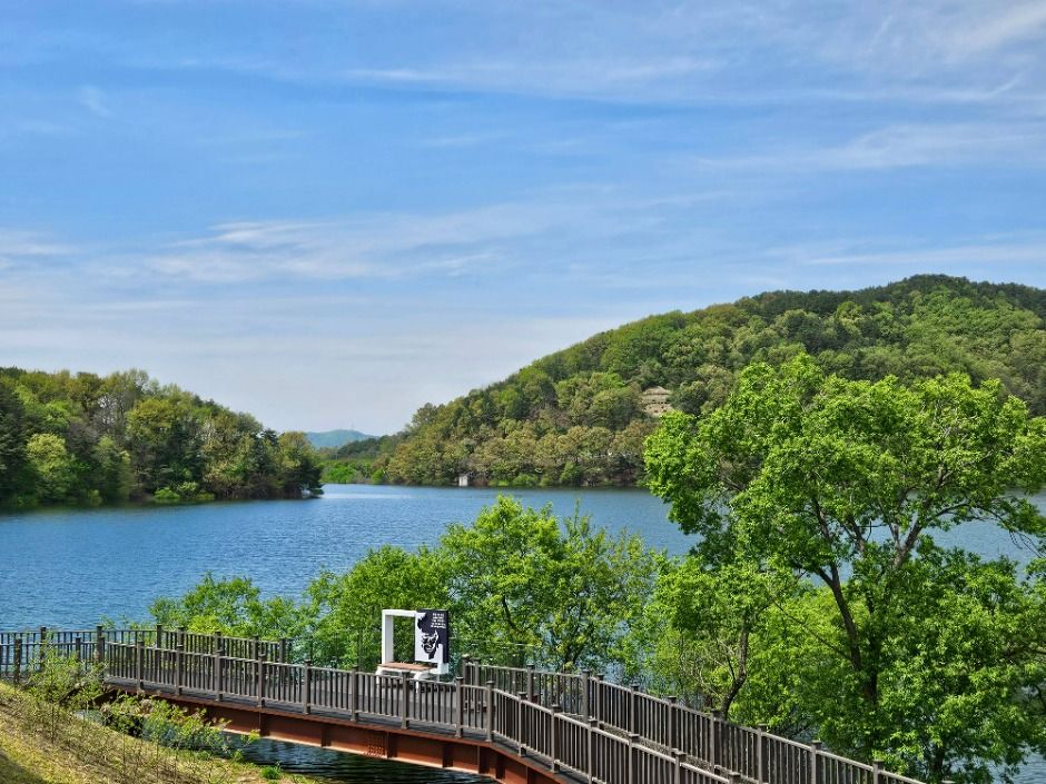 금광호수 이미지 1