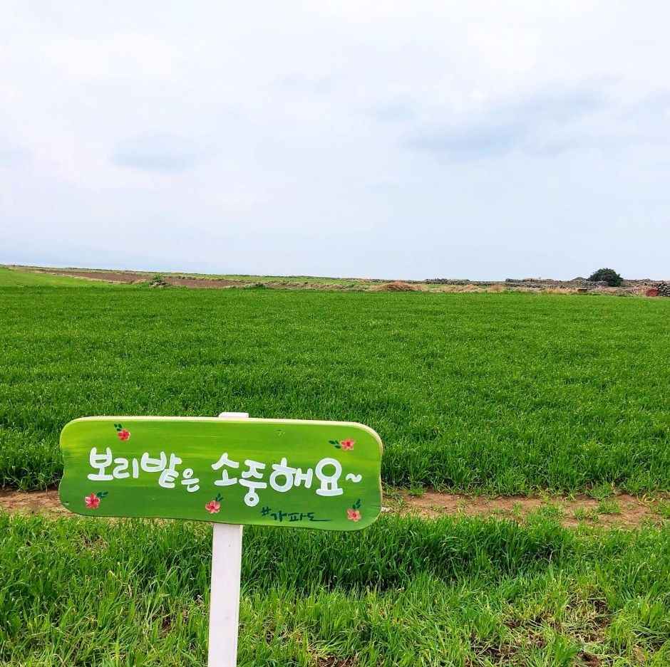 가파도 소망전망대 이미지 7