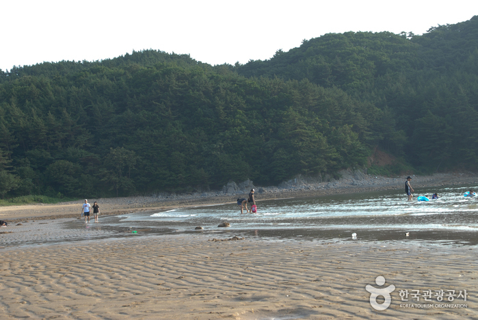 백리포해수욕장 이미지 4