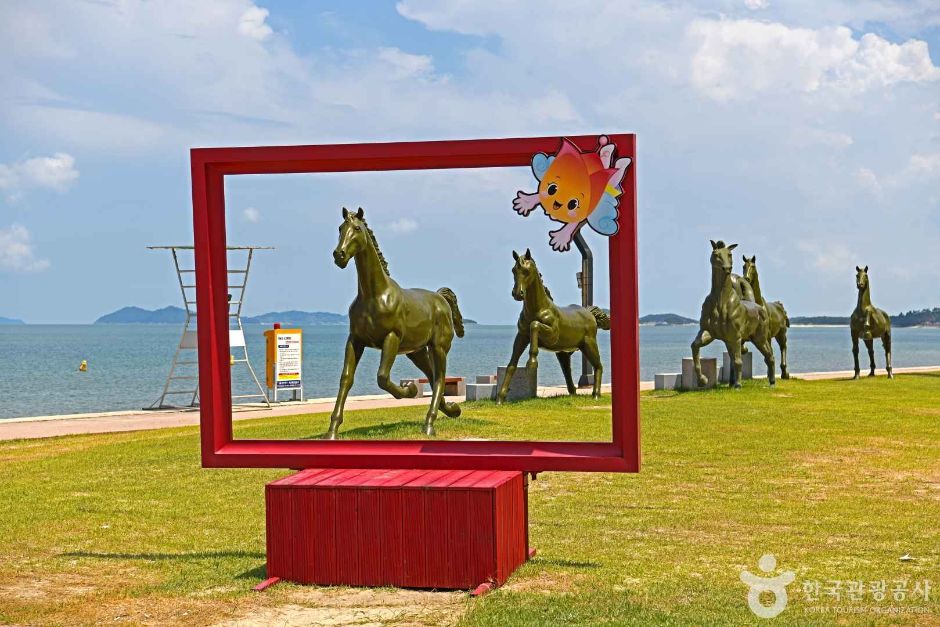 대광해수욕장 이미지 7
