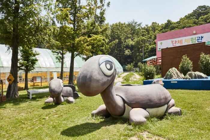 우농타조농장 이미지 5