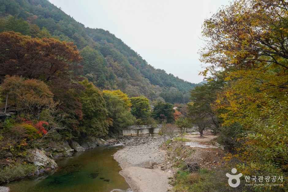 고선계곡(구마계곡) 이미지 6