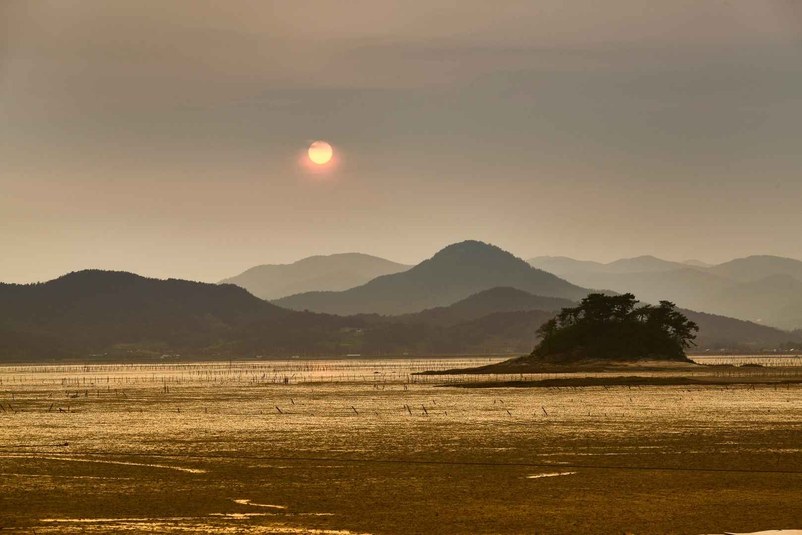 와온해변 이미지 3