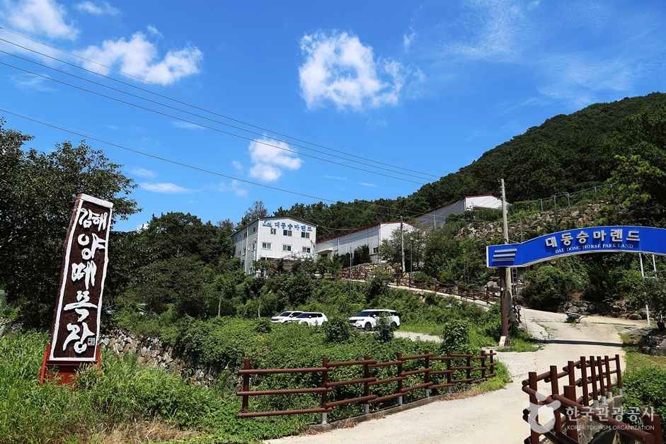 대동승마랜드 이미지 1