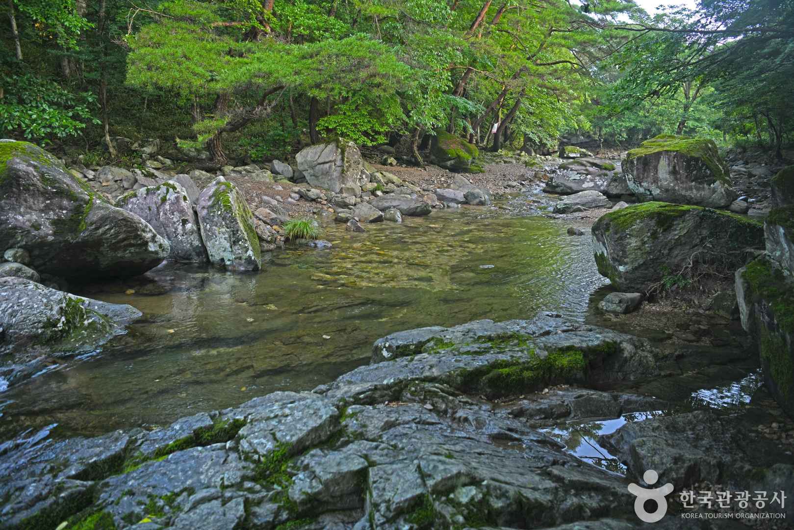 남창계곡 이미지 1
