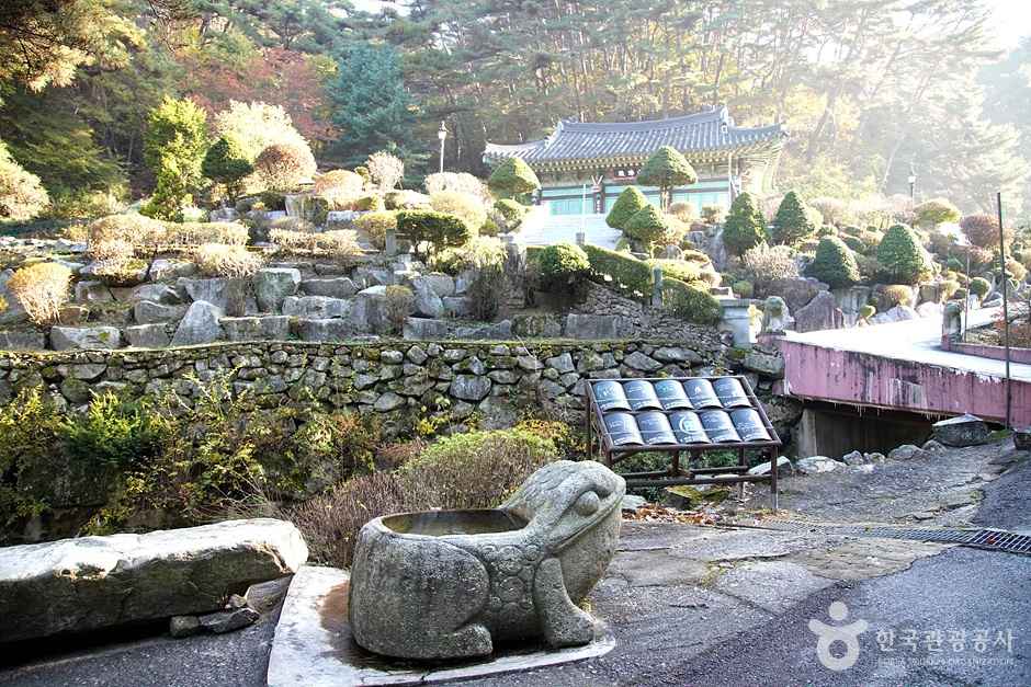 천은사계곡(원주) 이미지 6