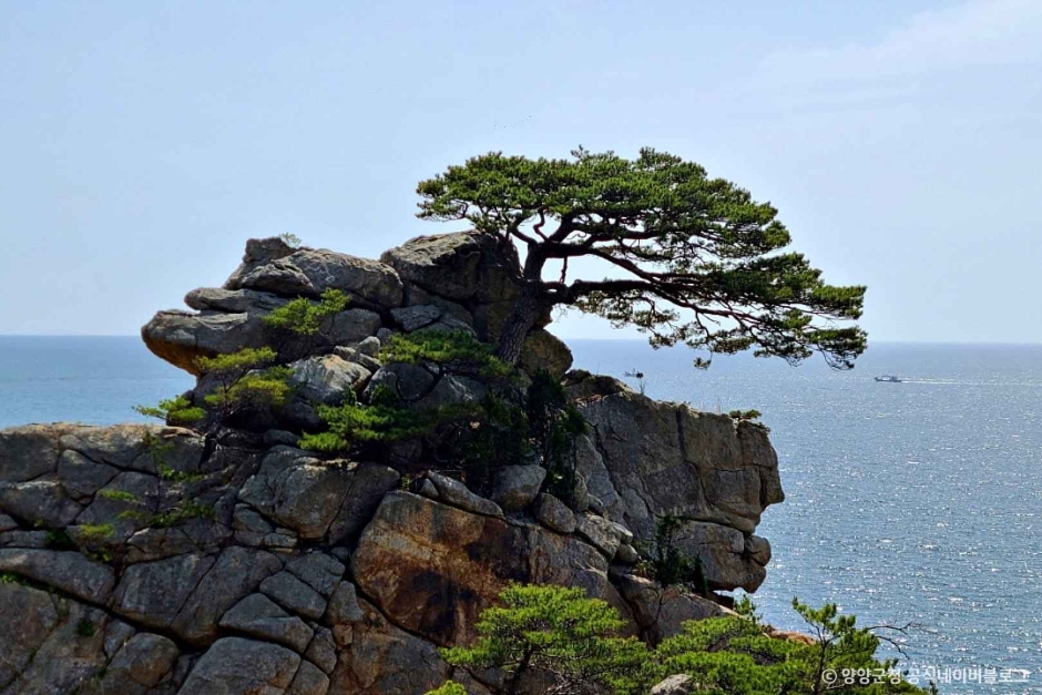 하조대 전망대 이미지 2
