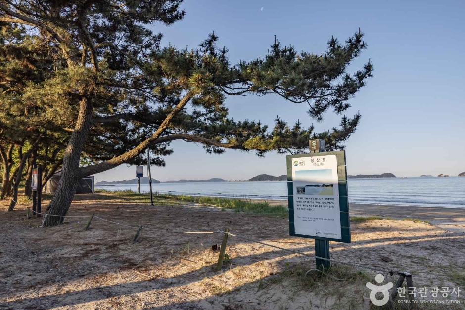 장삼포해수욕장 이미지 7
