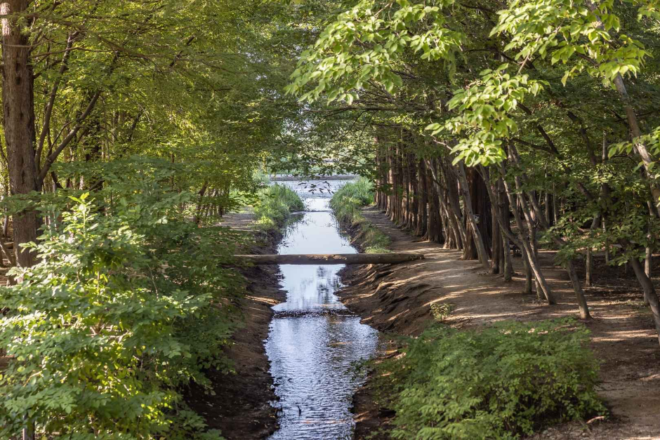 경북천년숲정원 이미지 4