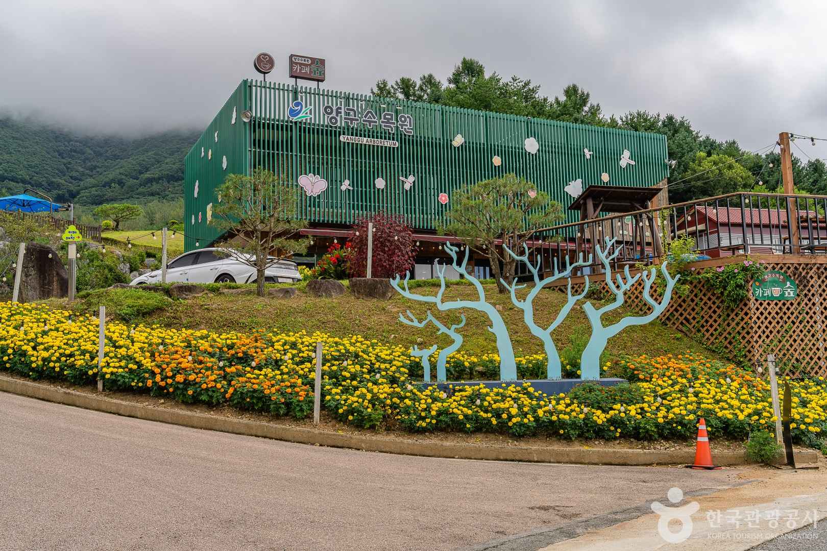 양구수목원 이미지 1
