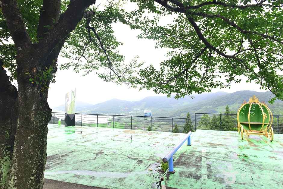 보성 차밭 전망대 이미지 3
