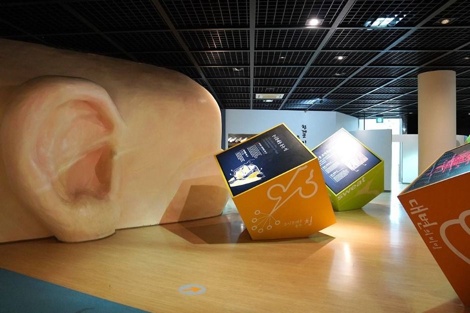 제천 한방엑스포공원 이미지 3