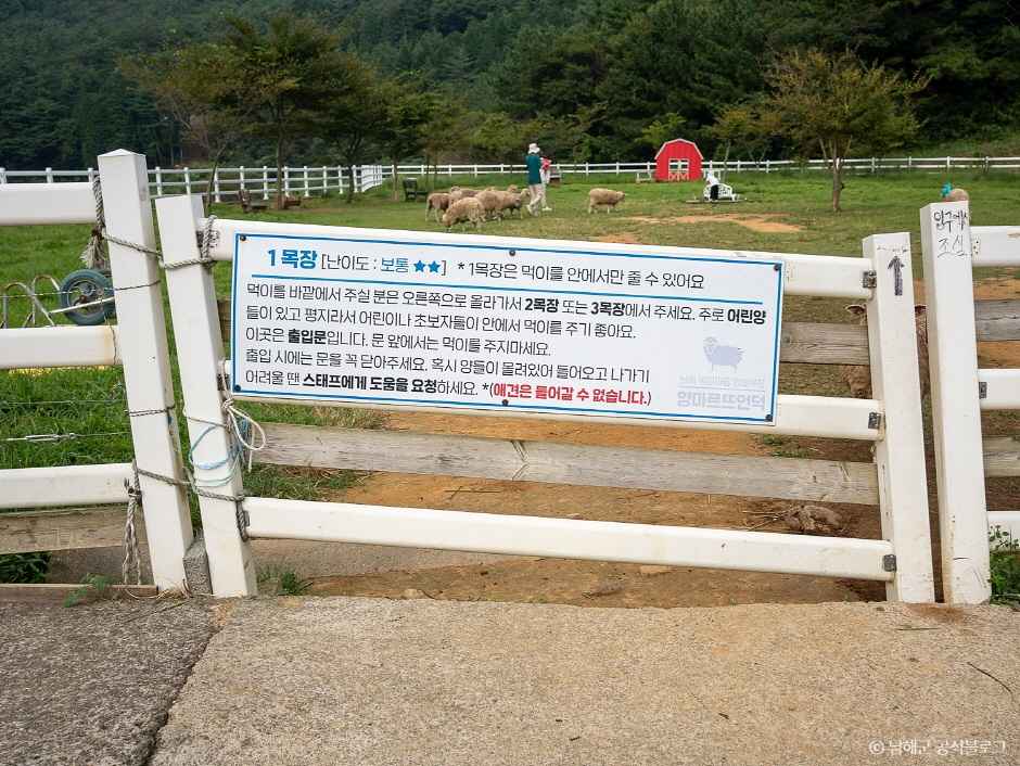 남해양떼목장 양마르뜨언덕 이미지 7