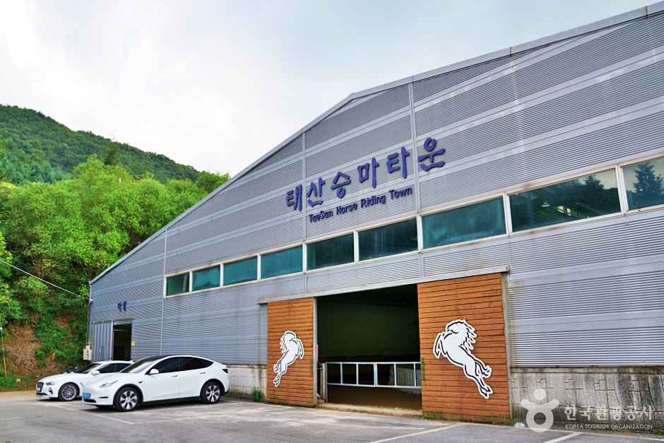 태산승마타운 이미지 1