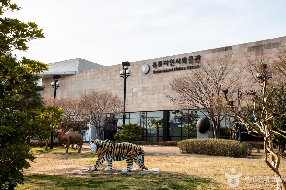 목포자연사박물관 이미지 4