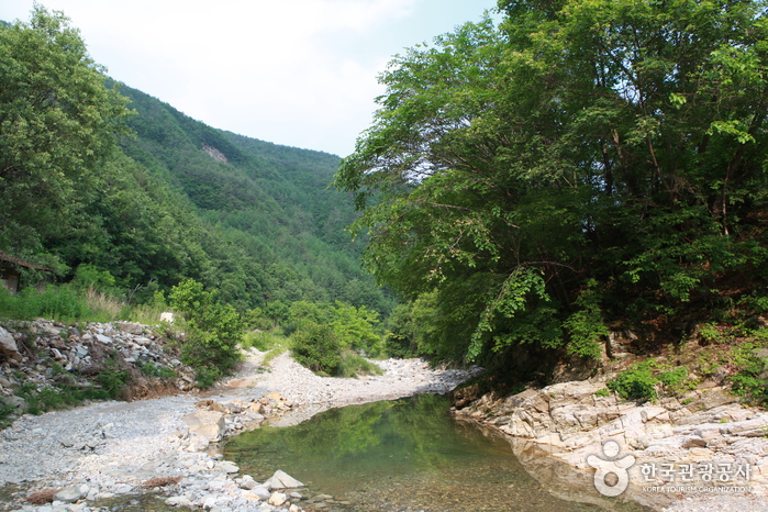 덕산기 계곡 이미지 5