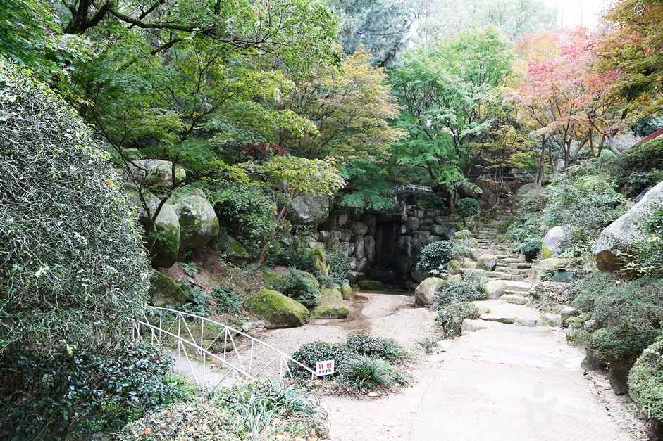 금강식물원 이미지 4