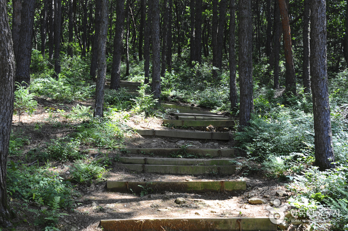 문수산산림욕장 이미지 3