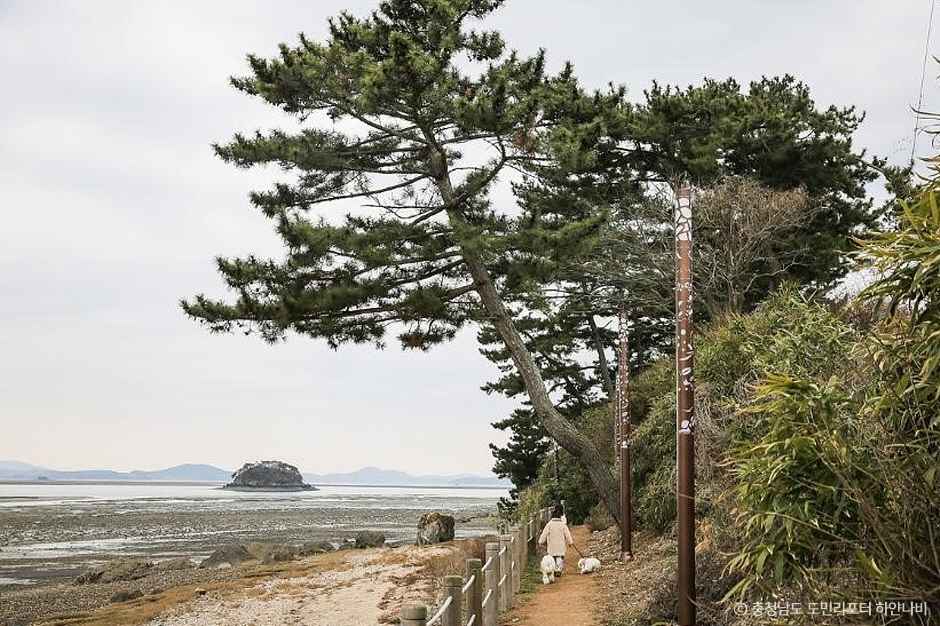 웅도 이미지 2