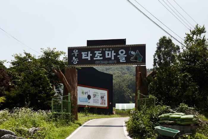 우농타조농장 이미지 1