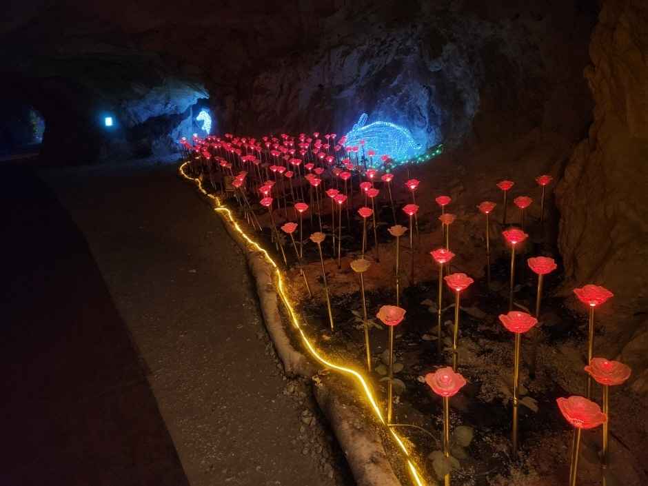 충주 활옥동굴 이미지 6