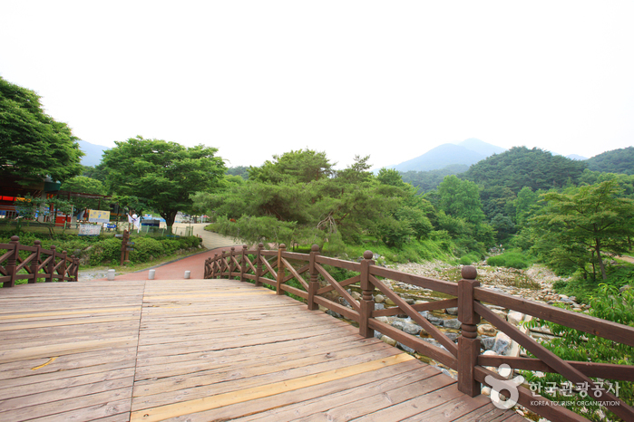 용문산 관광단지 이미지 2