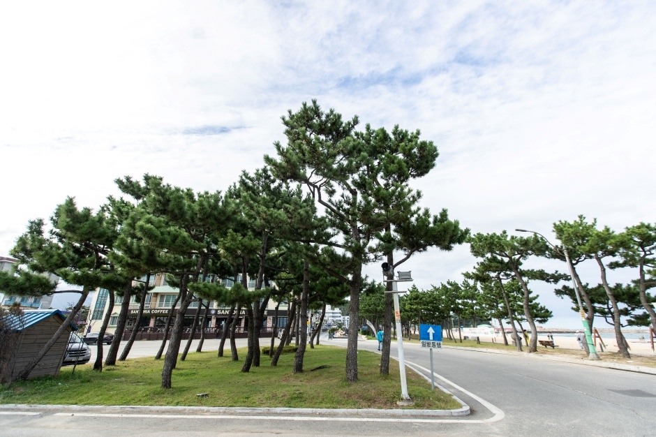 낙산해수욕장 이미지 6