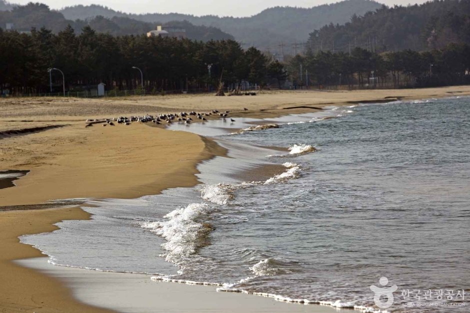 동산해수욕장 이미지 3