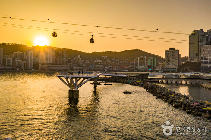송도 구름산책로(스카이워크) 이미지 7