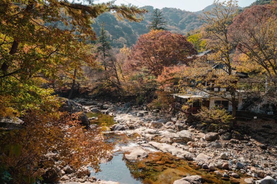 대원사계곡길 이미지 5