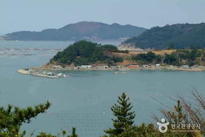 망끝전망대 이미지 4
