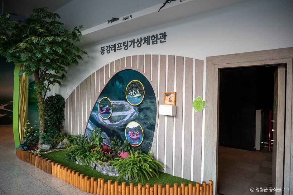 영월곤충박물관 이미지 3