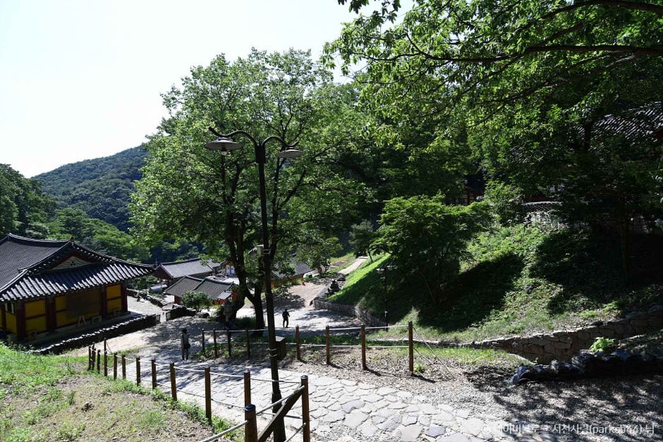 장곡사(청양) 이미지 5