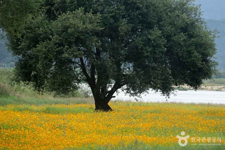 핫들생태공원 이미지 6