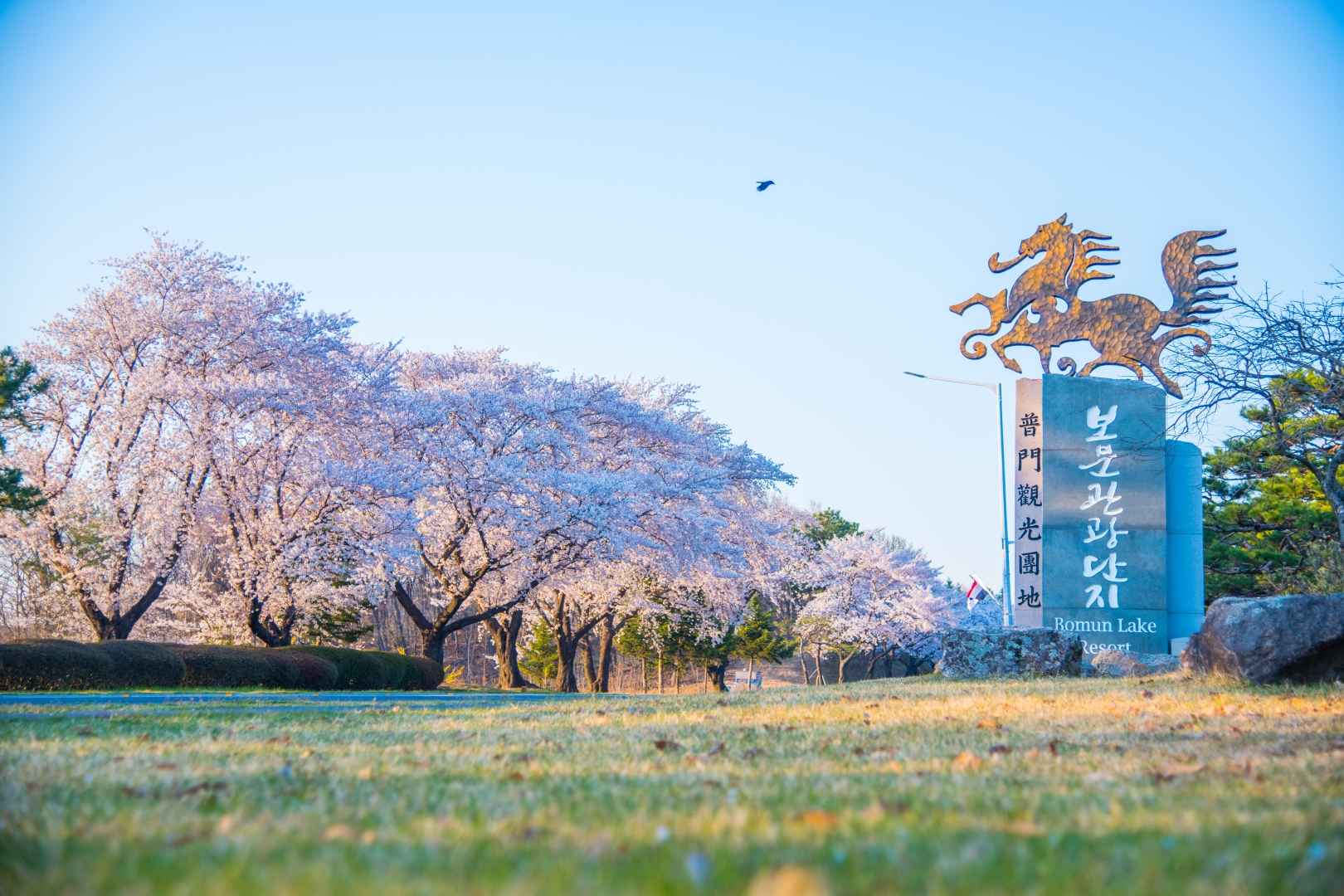 경주 보문관광단지 이미지 7